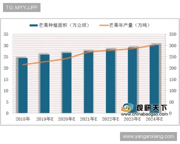 南京排球队实力分析与发展前景的深度探讨与展望